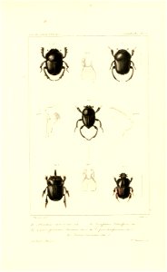 n554_w1150
