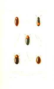 n468_w1150