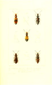 n408_w1150