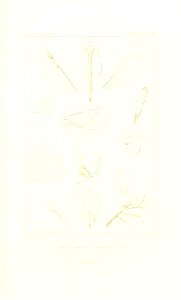 n478_w1150