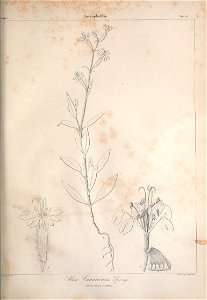 n396_w1150
