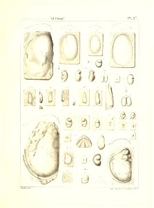 n116_w1150
