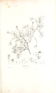 n232_w1150