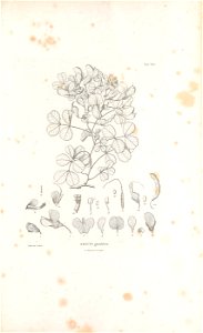 n588_w1150