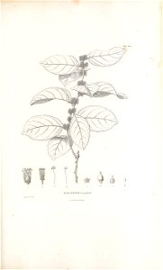 n306_w1150