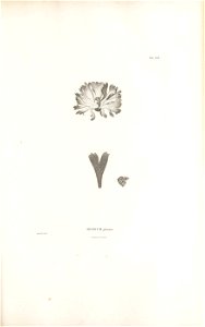 n132_w1150