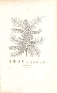 n52_w1150