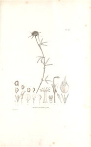 n582_w1150