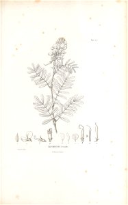 n516_w1150