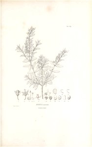 n170_w1150