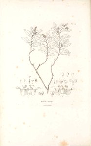 n537_w1150