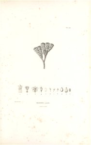 n54_w1150