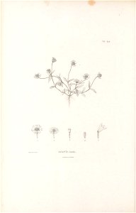 n405_w1150