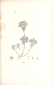 n152_w1150