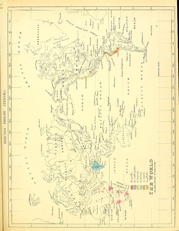 n170_w1150