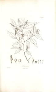 n302_w1150