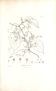 n222_w1150