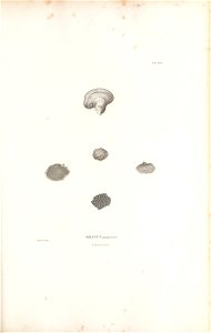 n130_w1150