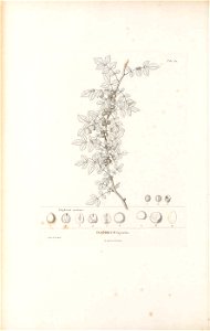 n49_w1150