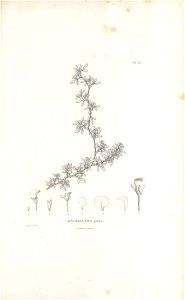 n580_w1150