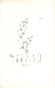n512_w1150