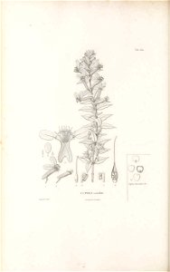 n257_w1150