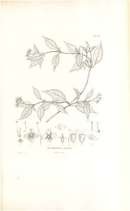n162_w1150