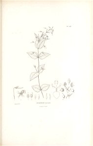 n476_w1150