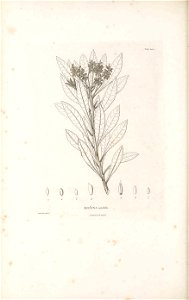 n533_w1150