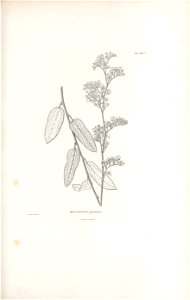 n404_w1150