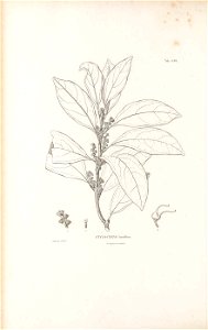 n219_w1150
