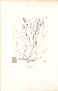 n123_w1150