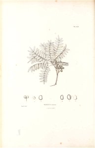 n43_w1150