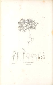 n577_w1150