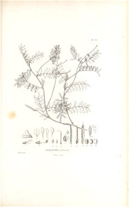 n508_w1150