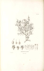 n313_w1150