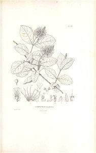 n148_w1150