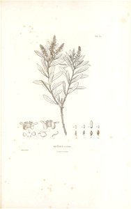 n530_w1150