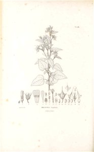 n399_w1150