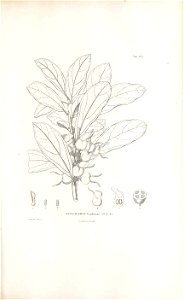 n216_w1150