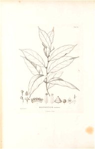 n115_w1150