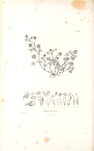 n573_w1150