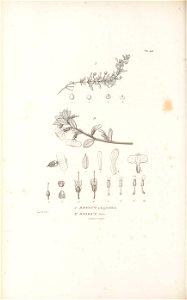 n469_w1150