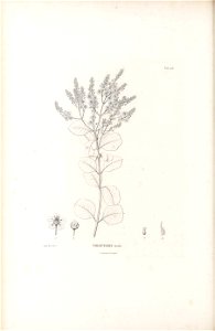 n215_w1150