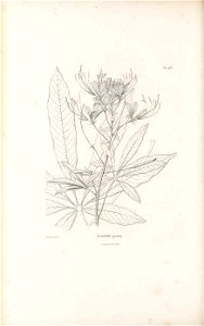 n121_w1150