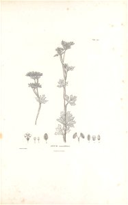 n40_w1150