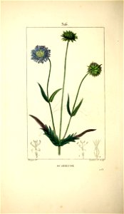 n169_w1150