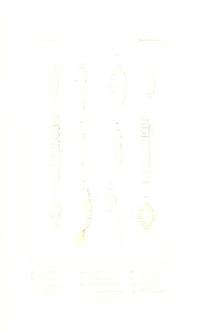 n488_w1150