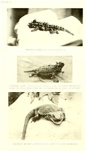 n127_w1150