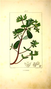 n355_w1150